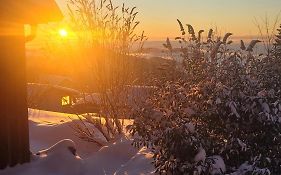 Ferienbungalow Sonnenwald Bayerischer Wald